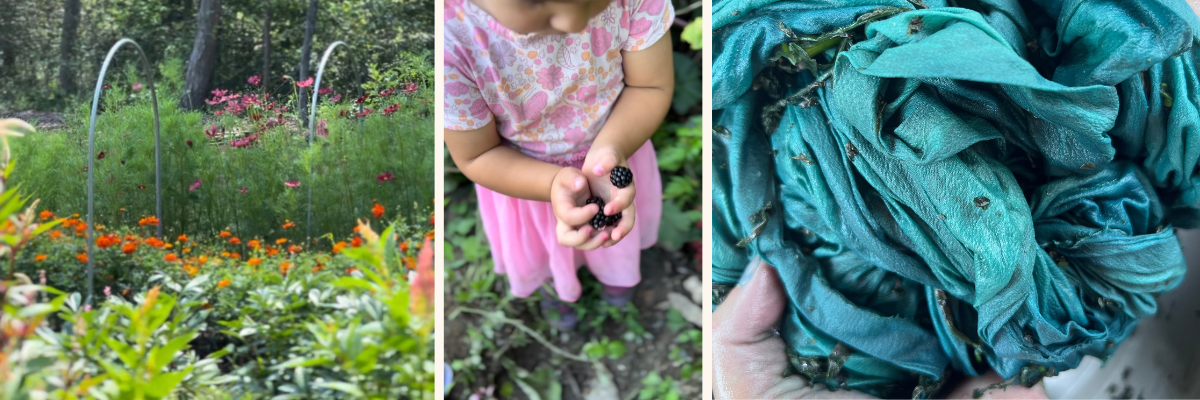 What Is Analogue Gardening? (And Why I Think It's the Future of Self-Care)