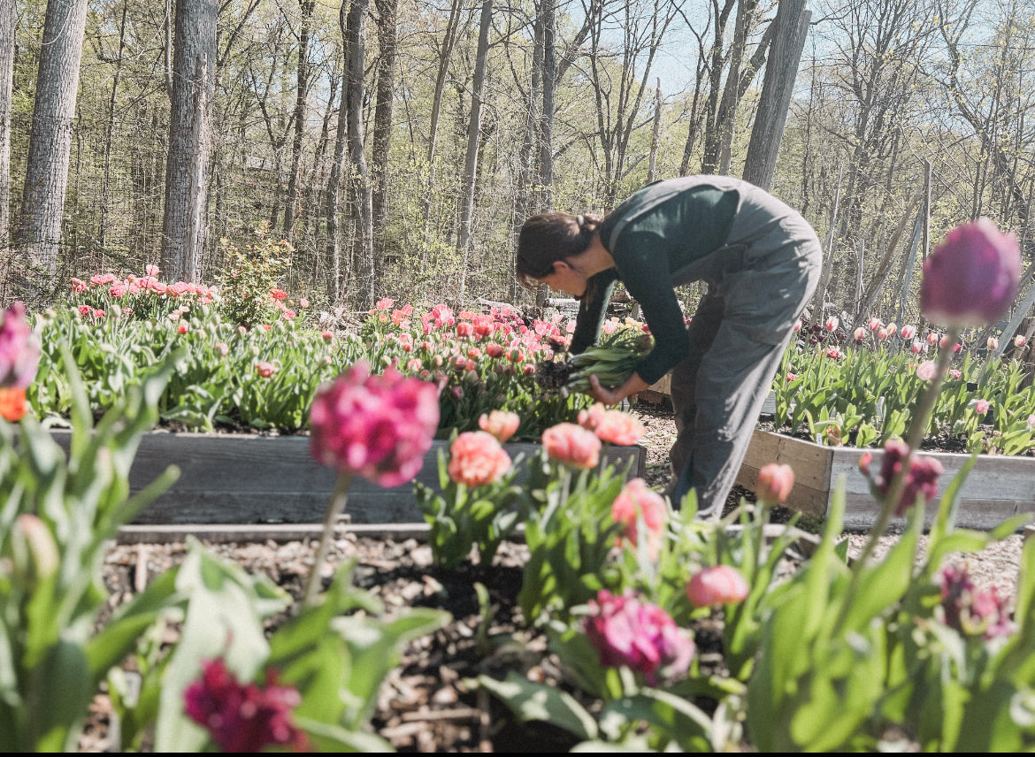 Botanical Skincare from a Connecticut Farm: How Rising Iris Grows What's in the Bottle