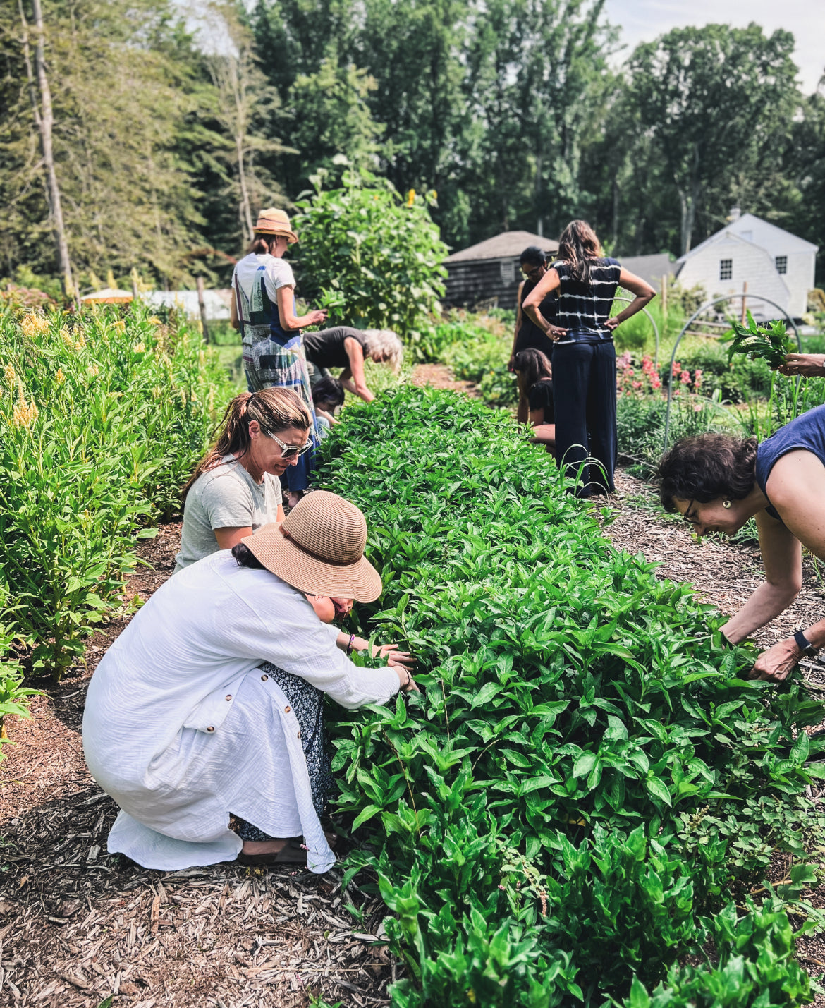 FLORA AND GLOW: Craft seasonal farm-to-face skincare 7/3