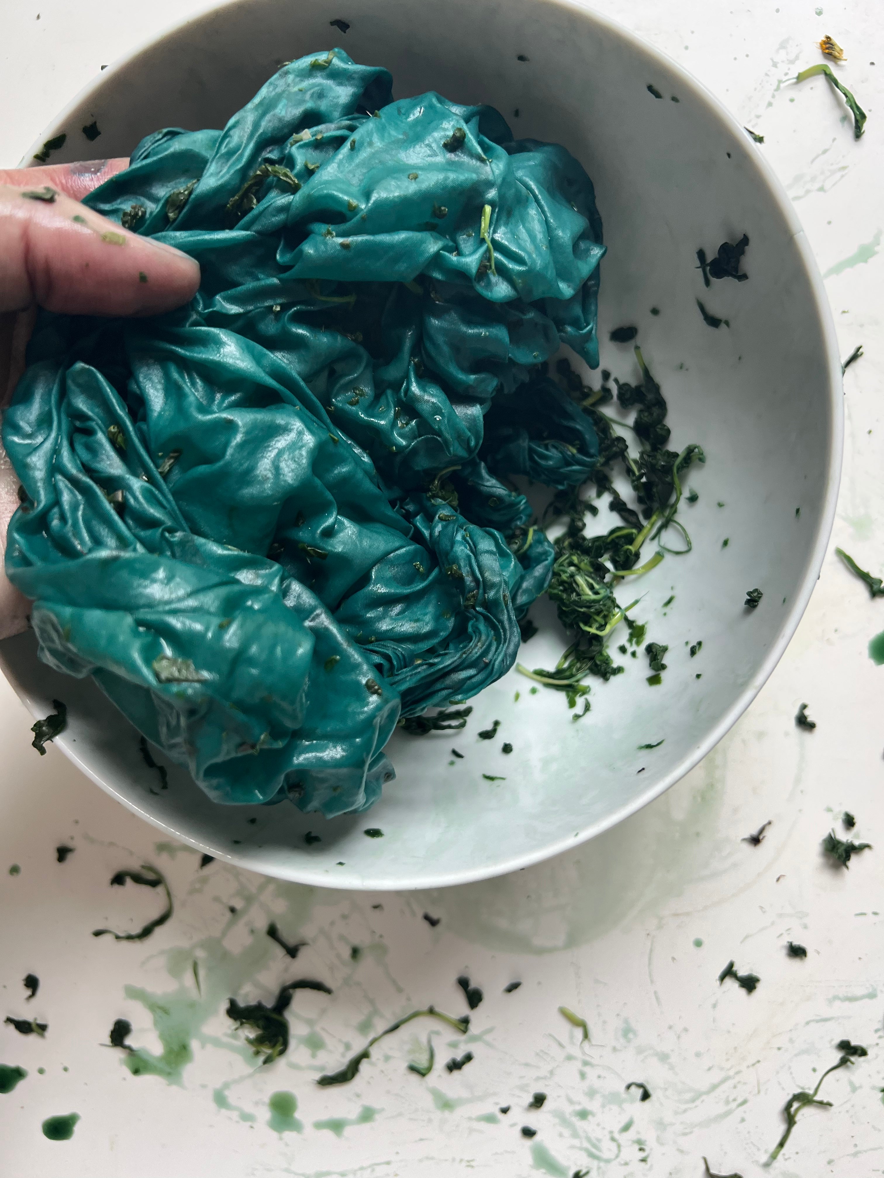 INDIGO ALCHEMY: From Leaf to Luminosity 6/26