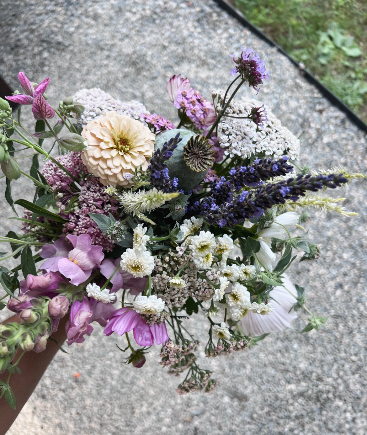 Summer Flower CSA