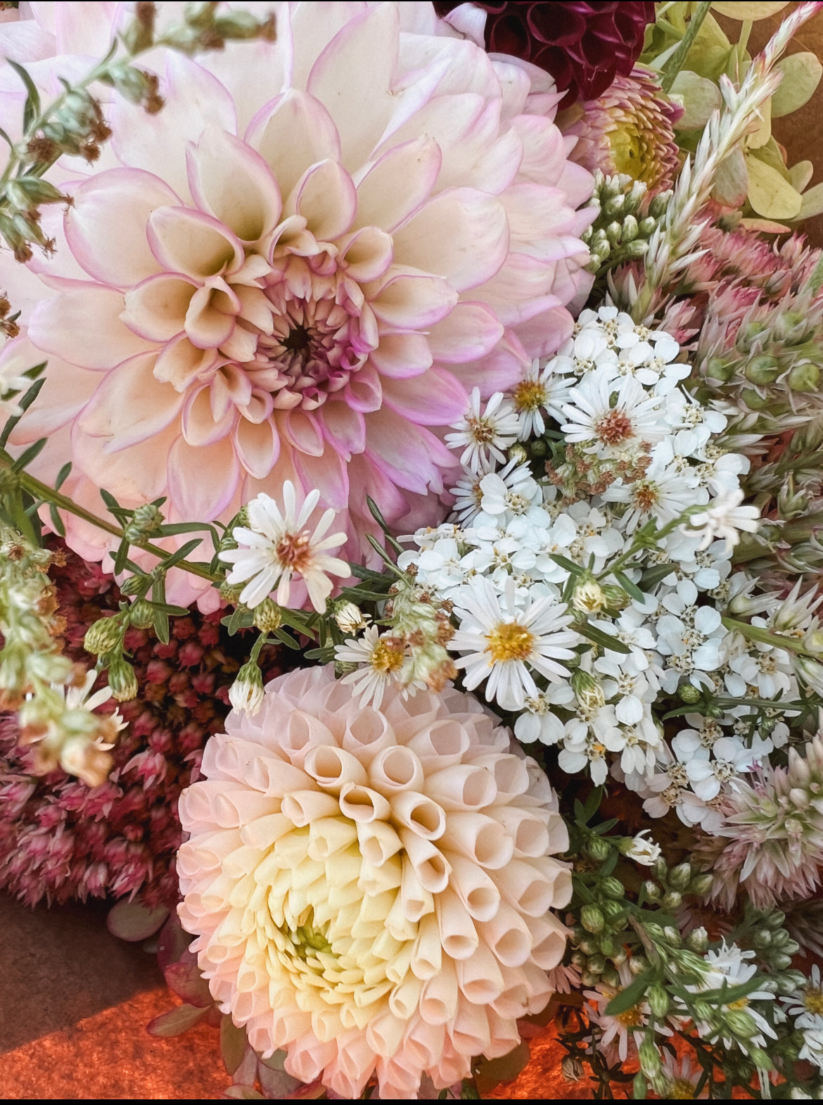September Flower Share