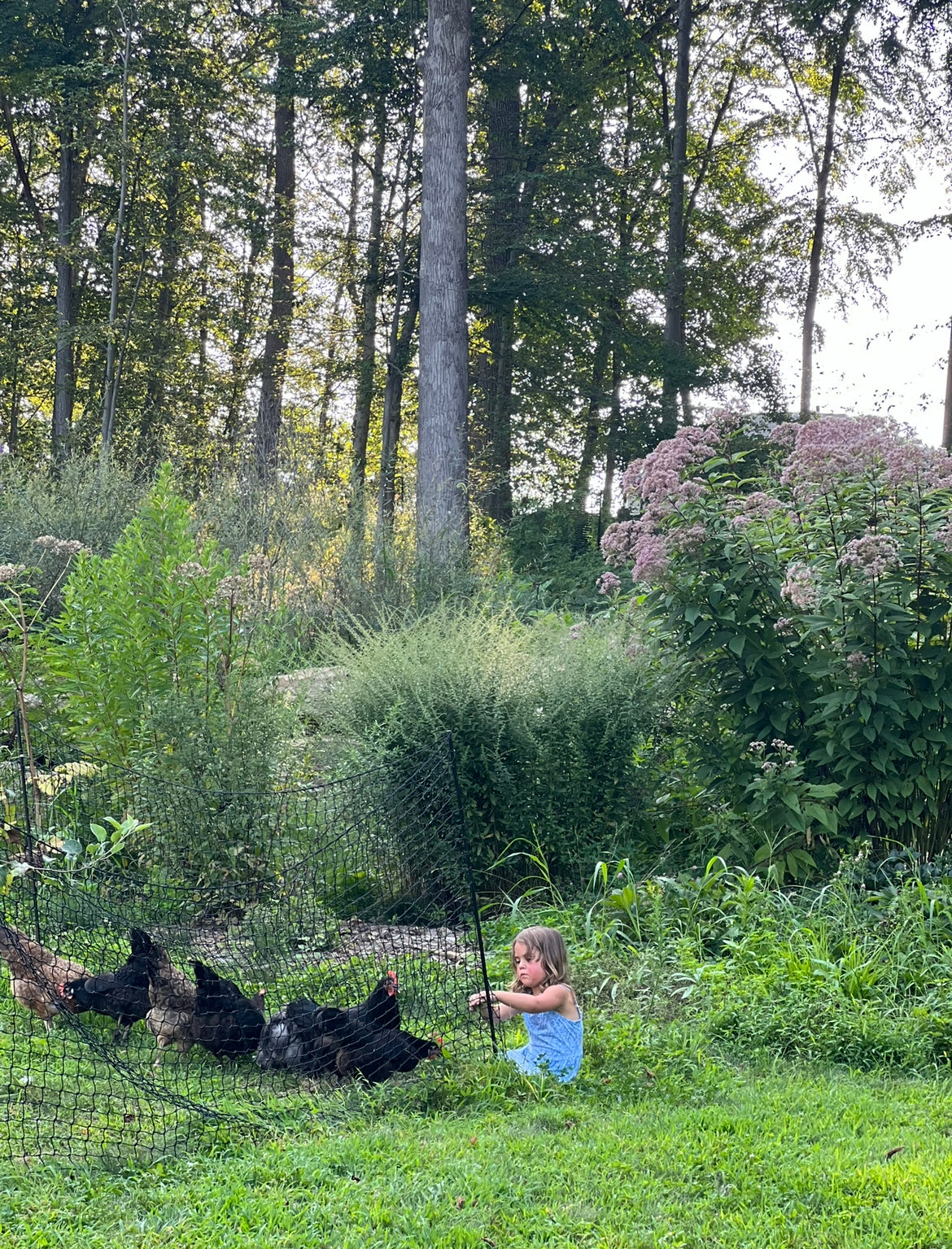 Mud & Bloom: A Garden Morning for Littles - Mondays