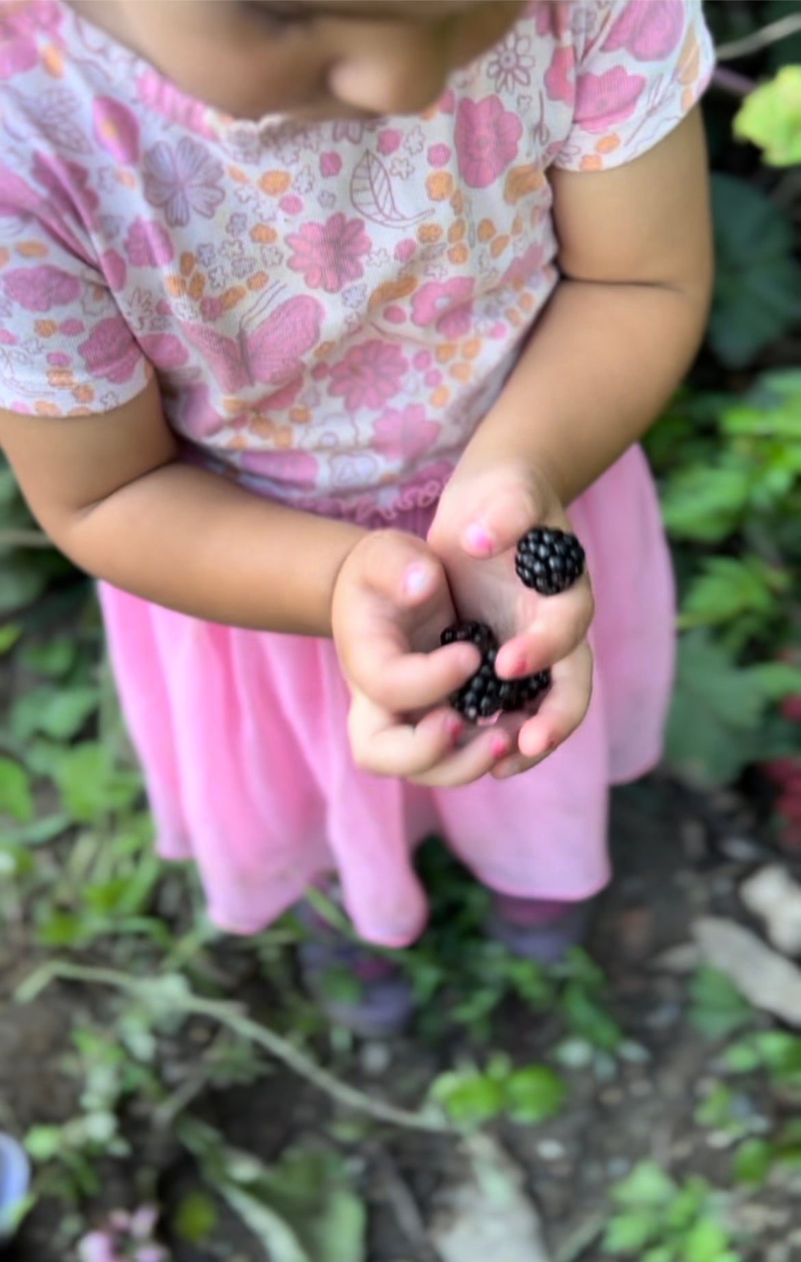 Mud & Bloom: A Garden Morning for Littles - Mondays