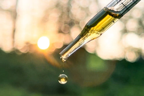 Close-up of a dropper with liquid against a blurred natural background