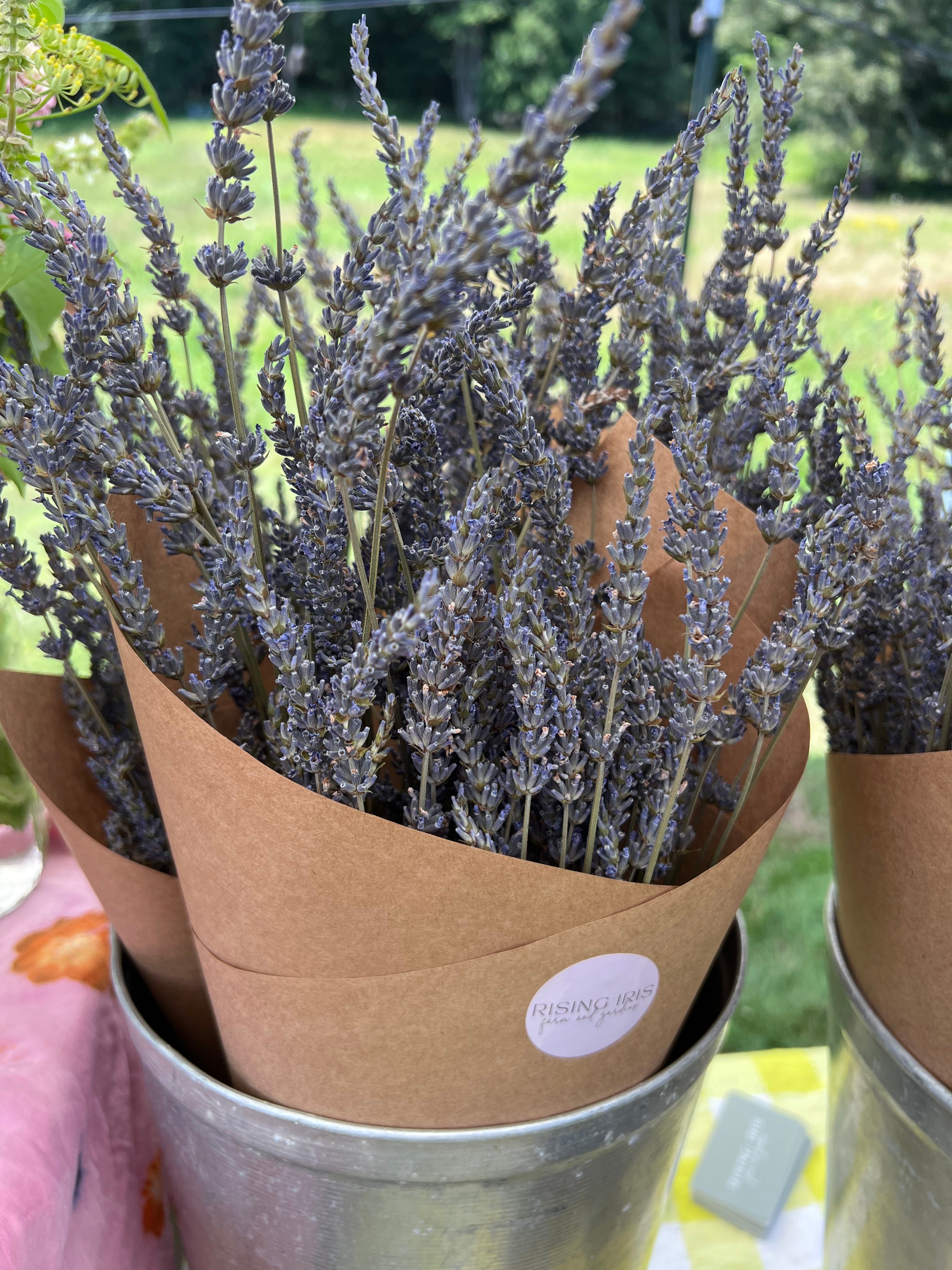 Dried Lavender