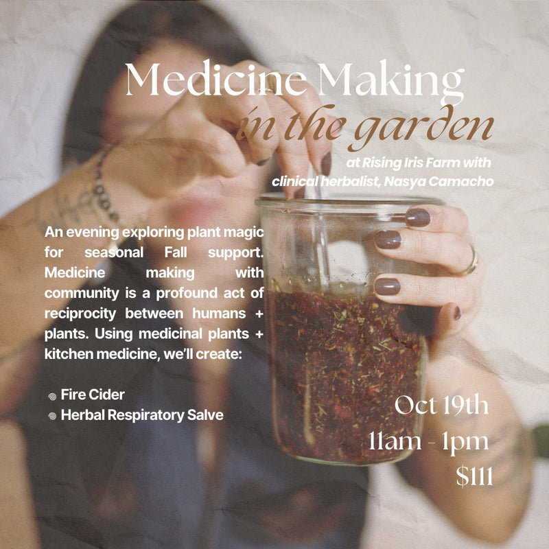 Medicine Making in the Garden