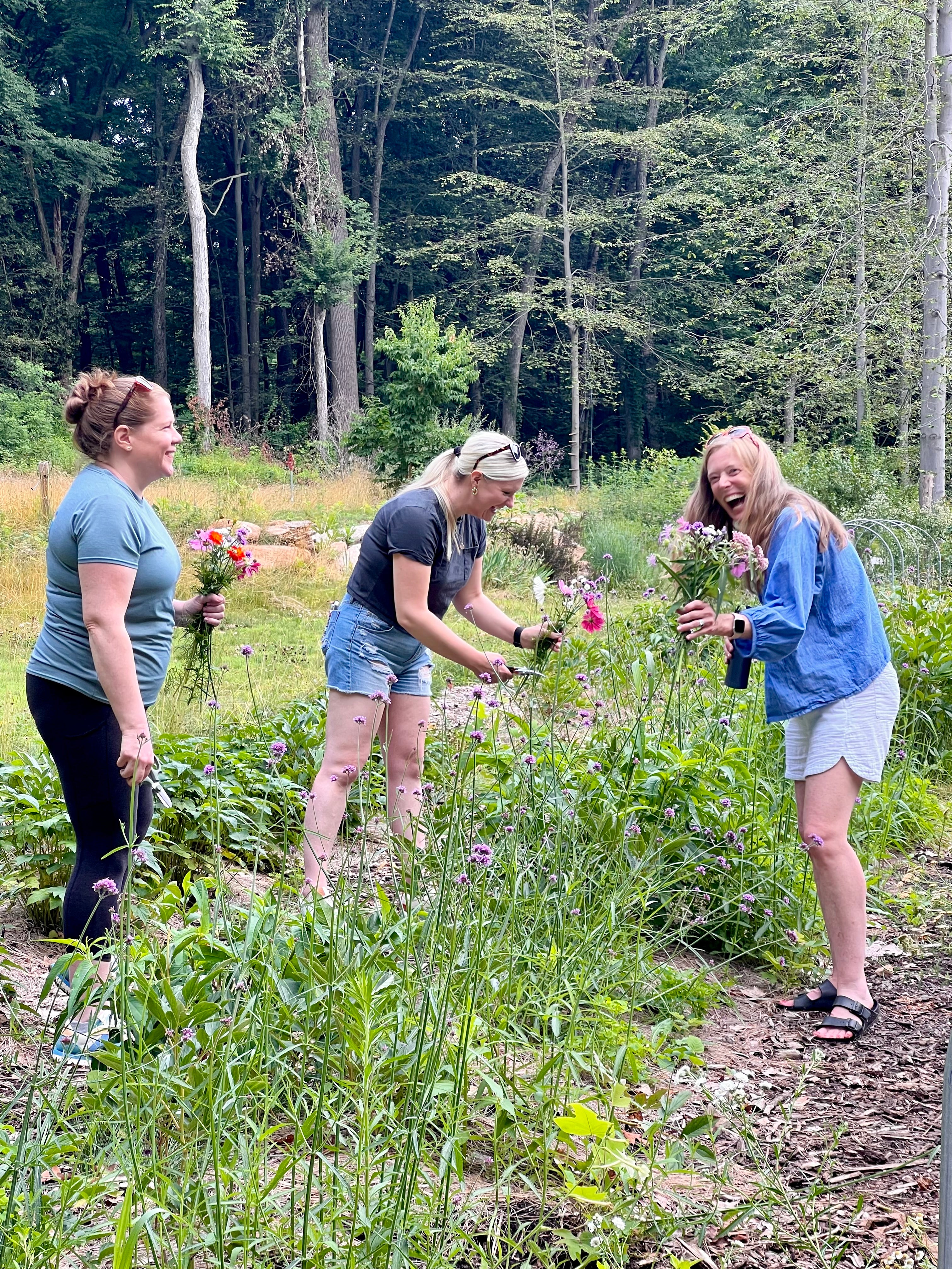 Pick-Your-Own Flowers Night at Rising Iris Farm